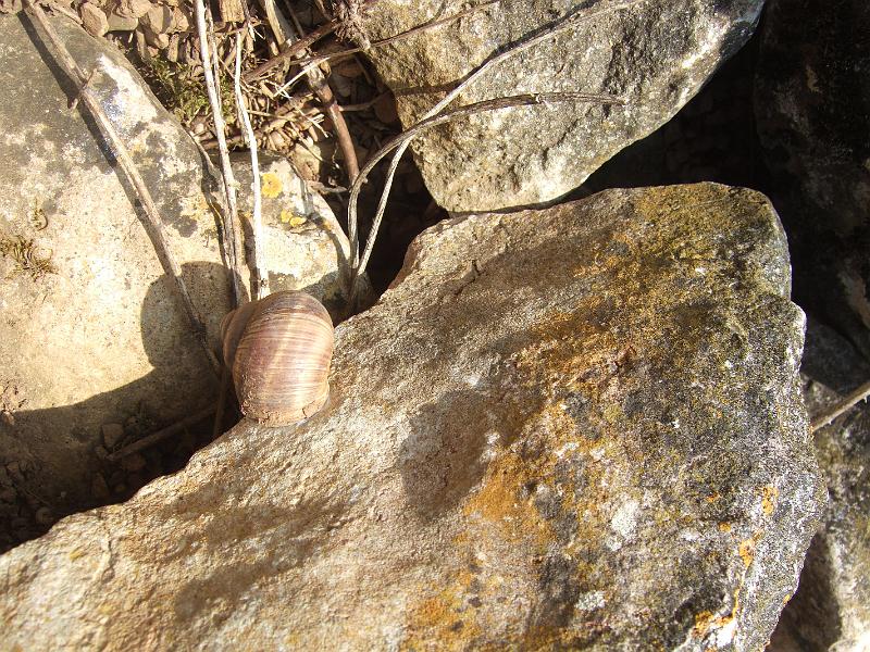 2010-05- (25).JPG